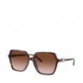 300613-DARK TORTOISE/BROWN GRAD