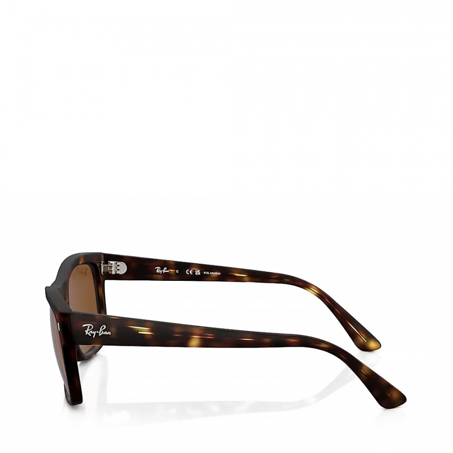 sunglasses-rb4428