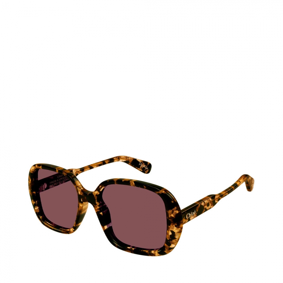 sonnenbrille-ch0222s