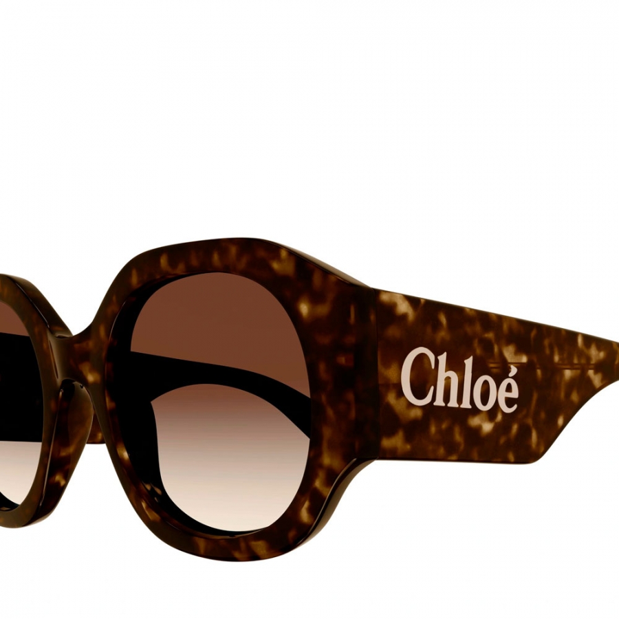 gafas-de-sol-ch0234s-havana