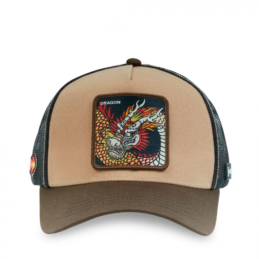 cl4-1-ct-gra-casquette-dragon