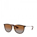 710-T5 HAVANA POLAR BROWN GARDIENT