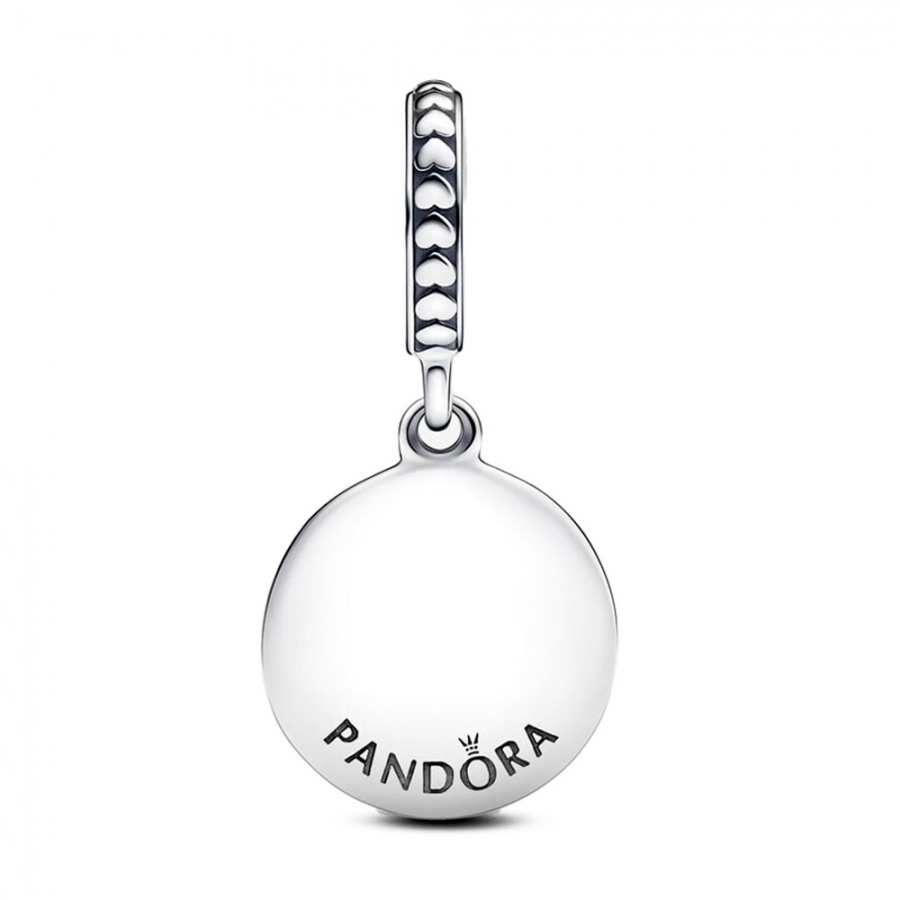 ciondolo-in-argento-sterling-friends-are-family-798124en16