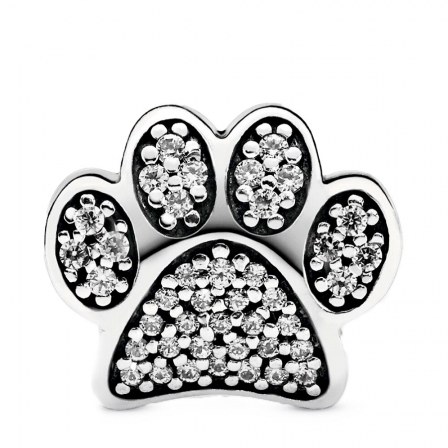 charme-empreinte-d-animal-791714cz