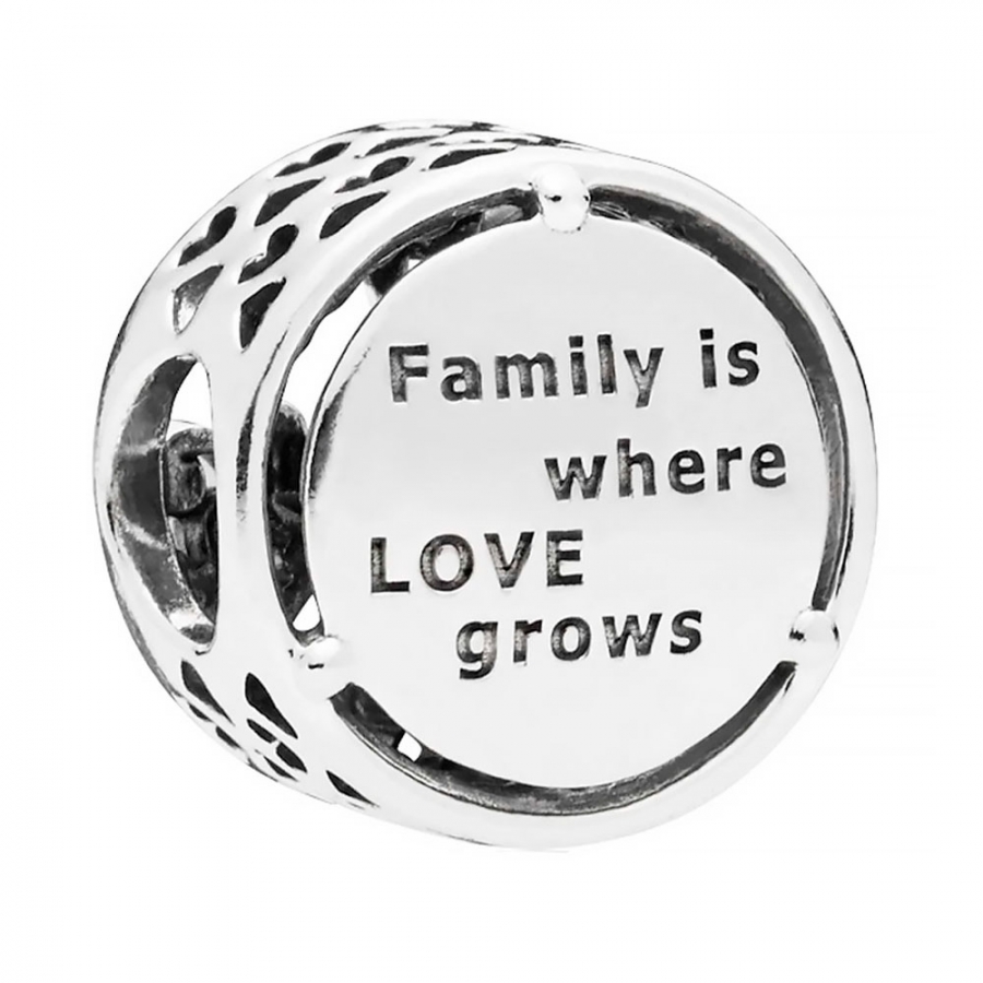 charm-en-plata-de-ley-raices-familiares-797590