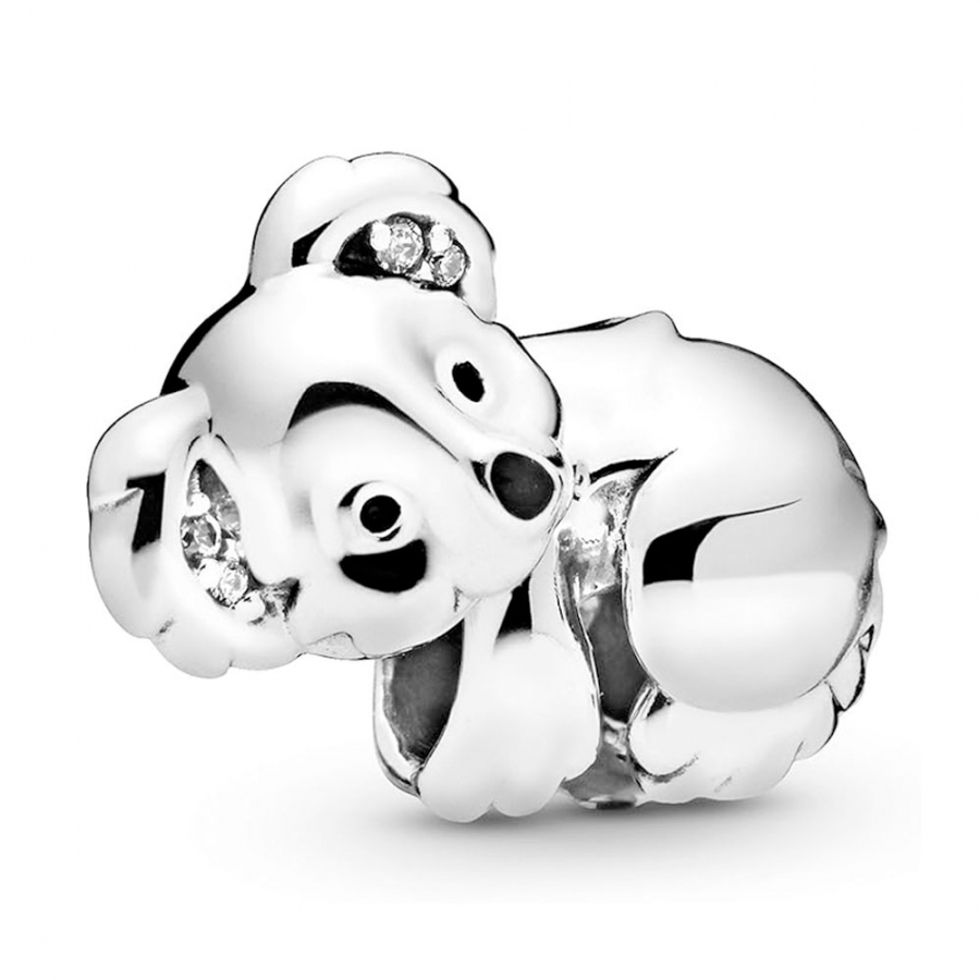 charm-koala-798431c01