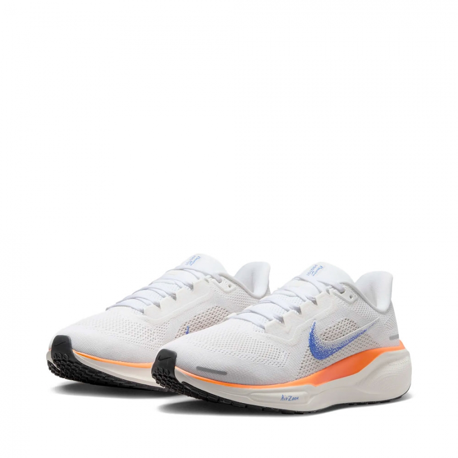 air-zoom-pegasus-41-schuhe