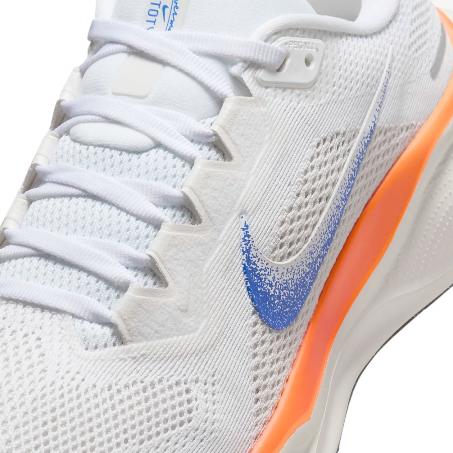 chaussures-air-zoom-pegasus-41