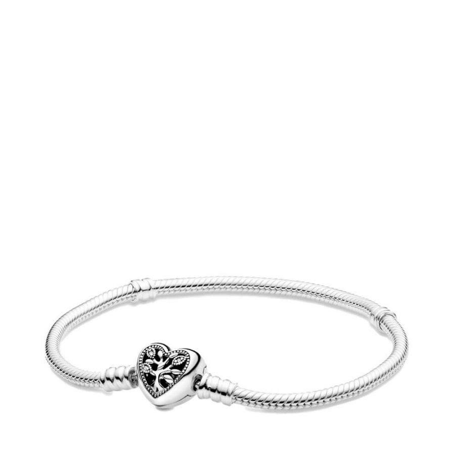 bracelet-chaine-serpent-avec-fermoir-coeur-familial-598827c01