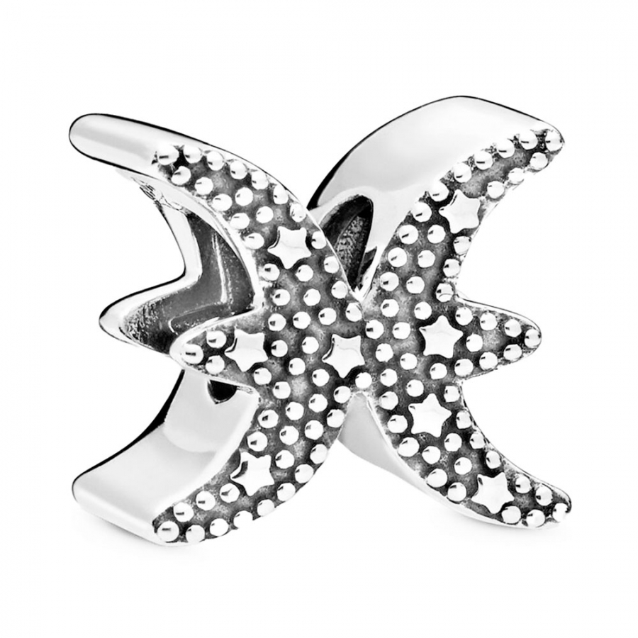 charm-zodiac-pisces-brilliant-798426c01