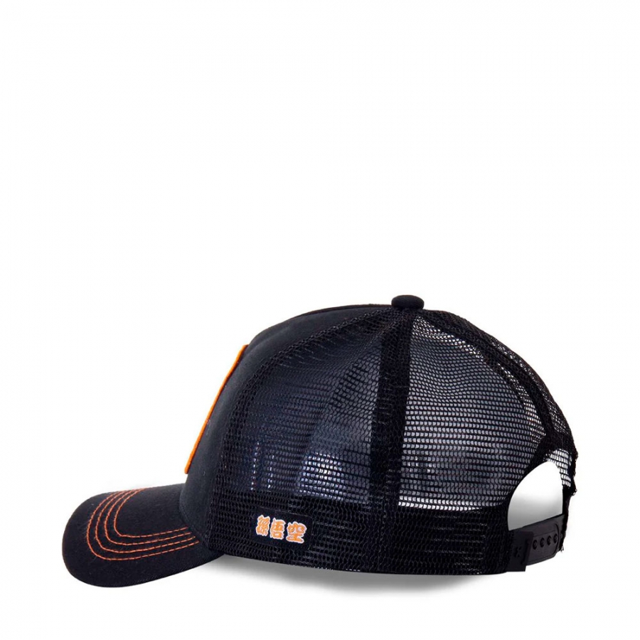 dragon-ball-z-goku-cap