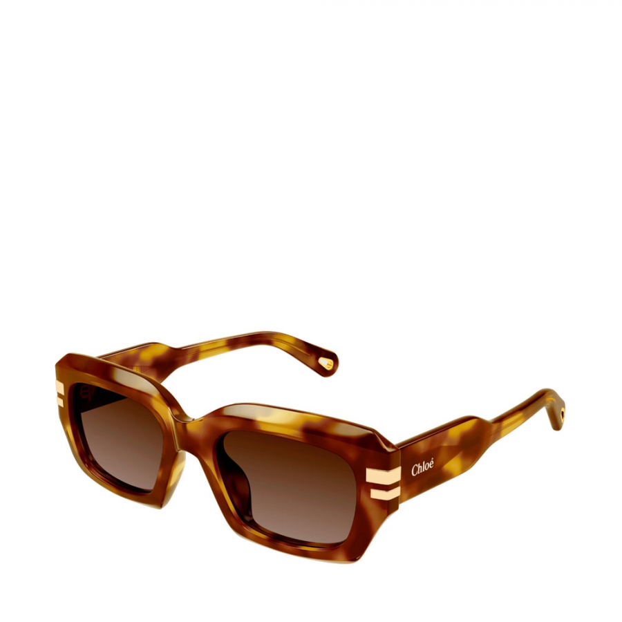 sonnenbrille-ch0256s