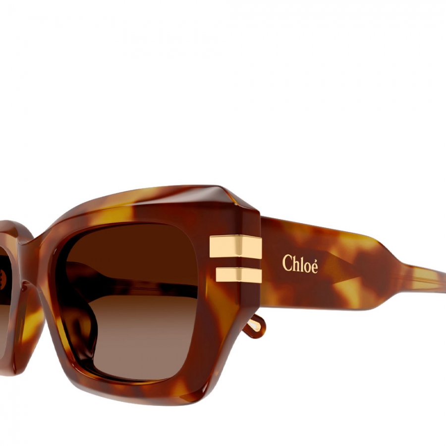 ch0256s-sunglasses