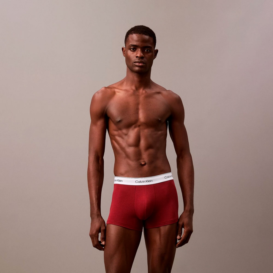 pack-de-5-boxers-modern-cotton