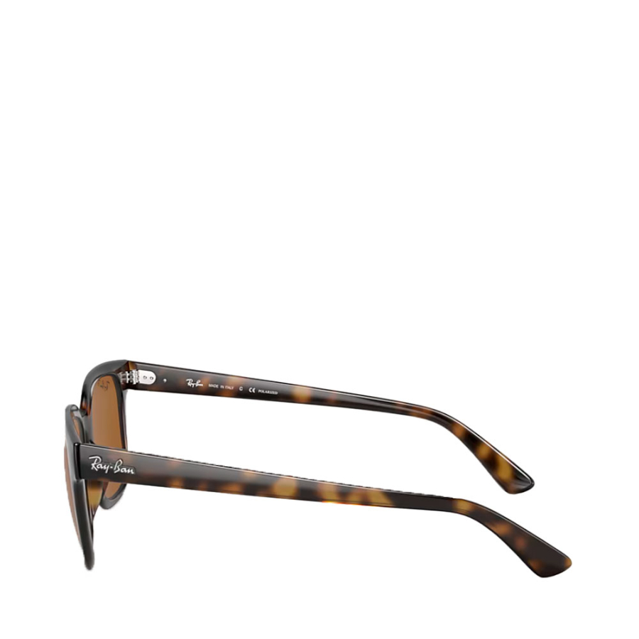 gafas-de-sol-rb4323