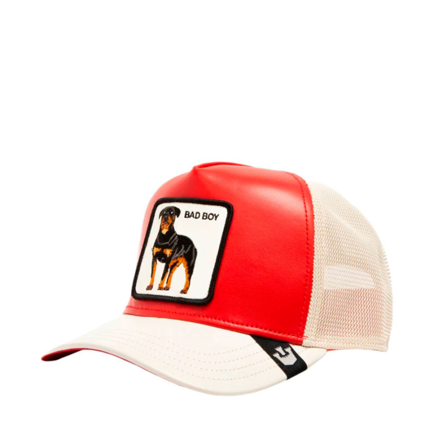 shleather-boy-cap